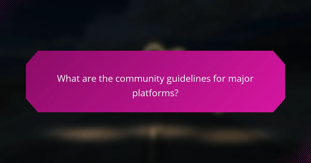 What are the community guidelines for major platforms?