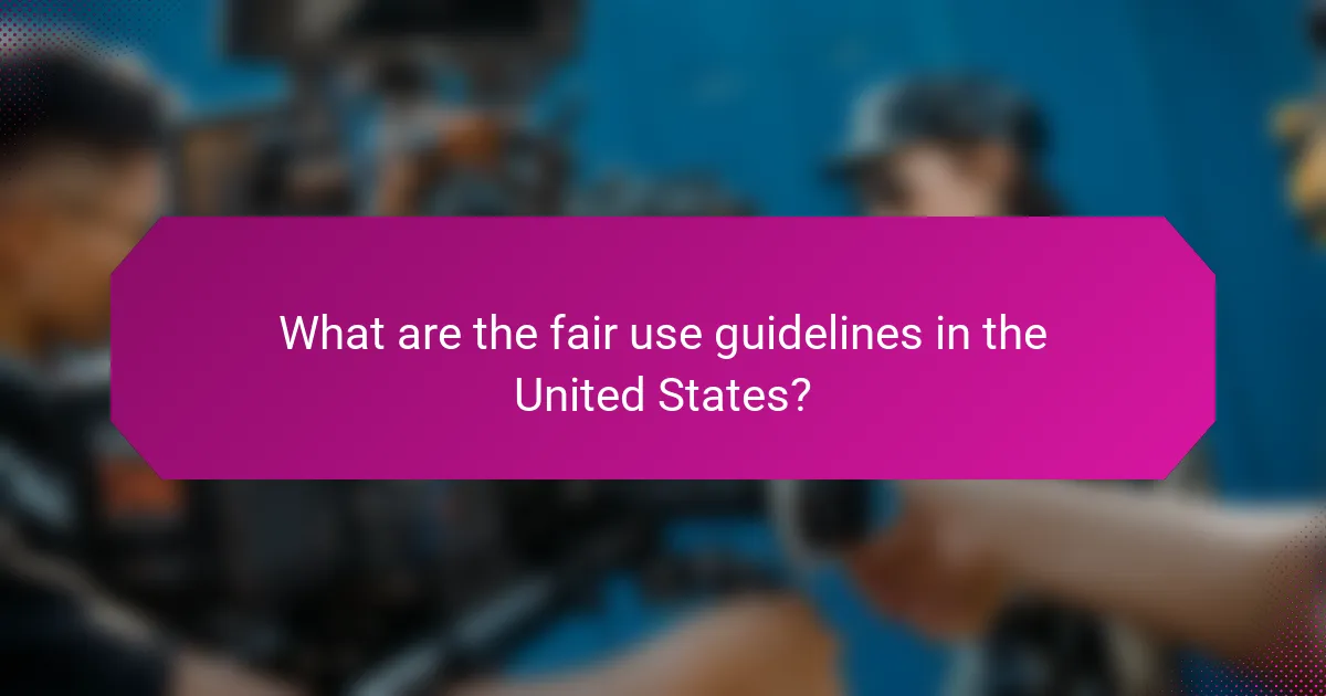 What are the fair use guidelines in the United States?
