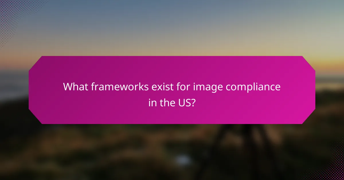 What frameworks exist for image compliance in the US?